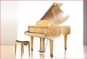 BABY_GRAND_PIANO_1.jpg